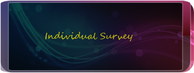 Individual Survey