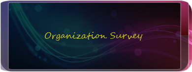 Organization Survey